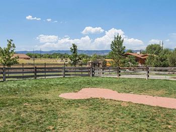 Dog park