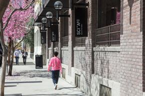 Los Angeles apartment for rent - A person in a pink shirt is walking down a sidewalk lined with trees and buildings.