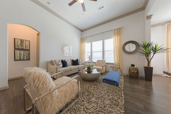 Comfortable living room
