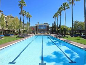 San Jose apartment for rent - a large swimming pool with palm trees around it