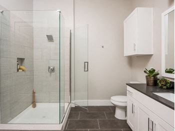 Frameless glass shower with niche shelving*
