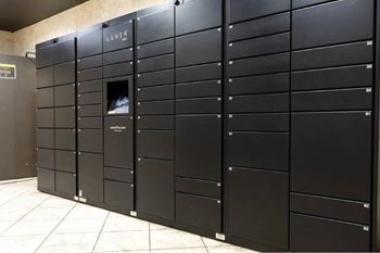 Luxer one package lockers
