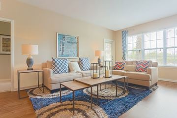 Orlando apartment for rent - A living room with a white couch, a blue rug, and a painting on the wall.