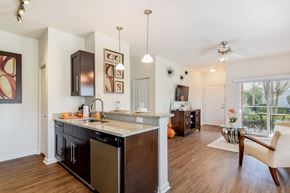 Lutz apartment for rent - A kitchen with a black fridge and a white counter top.