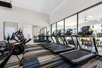 Gym fitness