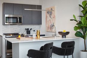 Chicago apartment for rent - Westerly Luxury River West Apartments - Westerly Modern Kitchen