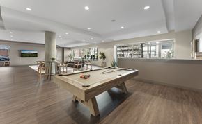 Stamford apartment for rent - A pool table is in the middle of a room with wood flooring.