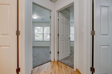 Fort Collins apartment for rent - a doorway into a room with a mirror and a door to a bedroom