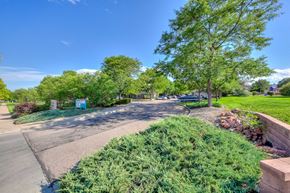 Fort Collins apartment for rent - a park with green grass and trees and a road