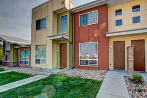 Fort Collins townhouse for rent - our apartments feature a spacious courtyard with grass