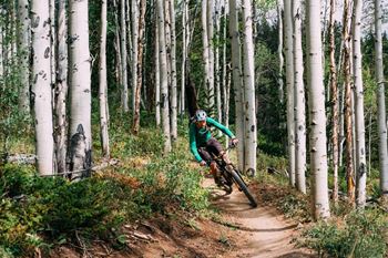 A person in a green jacket and white helmet is riding a bicycle on a trail in a forest of birch trees.