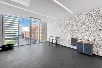 Pet spaw room