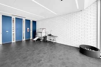 Pet spaw room