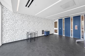 Pet spaw room