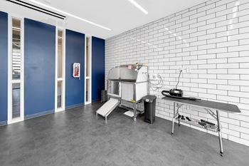 Pet spaw room