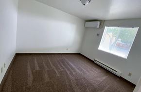 Panaca apartment for rent - the bedroom with carpet and a window
