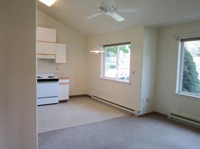 Superior apartment for rent - Image of stove, cabinets, and base heaters with windows