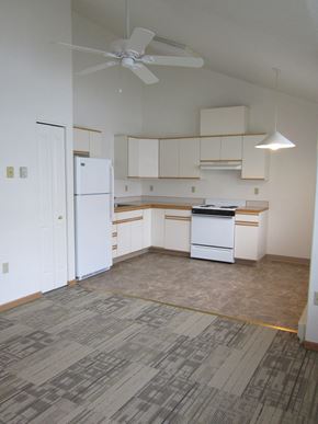 Superior apartment for rent - Image of Refrigerator, sink, cabinets, stove