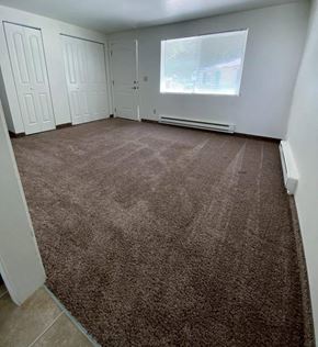 Panaca apartment for rent - living room with carpet  and closets