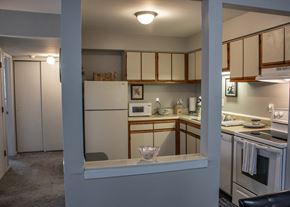 Mt. Morris apartment for rent - a view of a kitchen from a pass through window