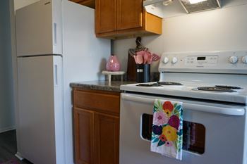Electric range