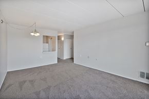 Southfield apartment for rent - A large empty room with a carpeted floor and a hanging light fixture.