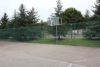 Basketball court