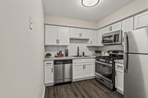 Philadelphia triplex for rent - an empty kitchen with stainless steel appliances and white cabinets at Rushwood Apartments, Philadelphia, Pennsylvania