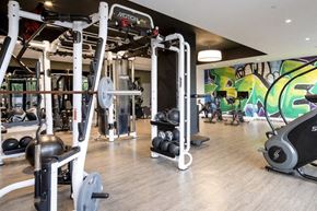 Philadelphia apartment for rent - A gym with a variety of equipment including a weight bench, a squat rack, and a treadmill at The Irvine, Philadelphia