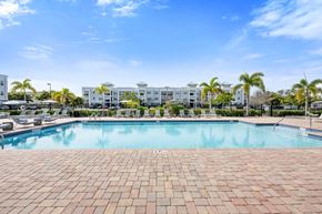 Bradenton apartment for rent - Three-Bedroom Apartments in Bradenton, FL - Preserve at Riverwalk - Swimming Pool with a Spacious Sun Deck, Surrounded by White Loungers, Umbrellas, Palm Trees, and Black Metal Fence.
