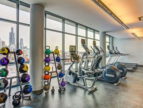 Chicago apartment for rent - Fitness center at The Madison at Racine, Chicago
