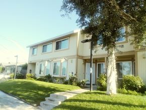 North Hollywood apartment for rent - A modern house with a tree in front.