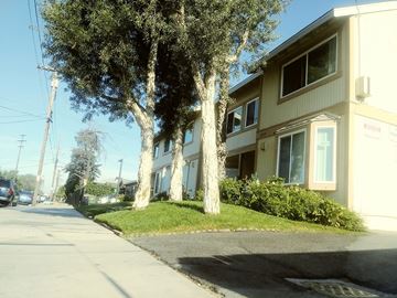 North Hollywood apartment for rent - A tree in front of a two-story building.