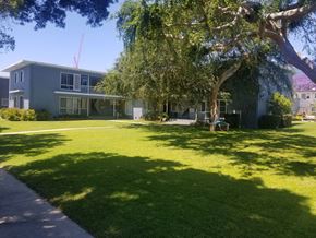 Los Angeles apartment for rent - A house with a green lawn and a tree in front.