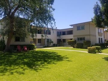 Los Angeles apartment for rent - A tree in front of a building with a lawn in the foreground.
