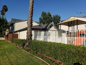 Wilmington apartment for rent - A house with a palm tree in front of it.