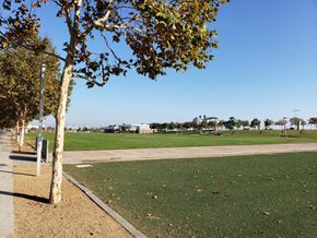Wilmington apartment for rent - A park with a grassy area and trees.
