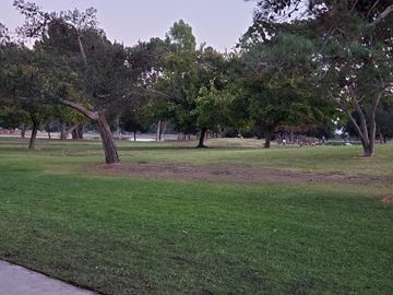 Los Angeles apartment for rent - A park with a grassy area and trees.