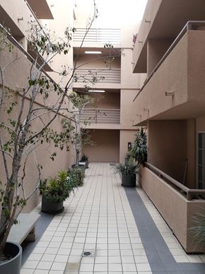 Los Angeles apartment for rent - an empty corridor in an apartment building with potted plants