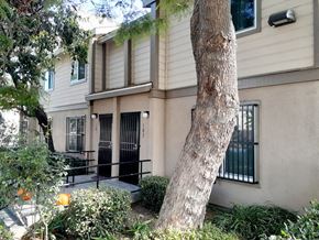 Los Angeles apartment for rent - A tree is in front of a house.