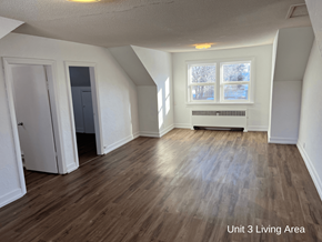 Brandon apartment for rent - the living room and dining room before the remodel