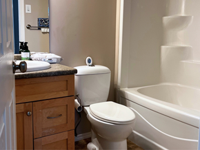 Brandon condo for rent - a bathroom with a toilet and a sink and a bath tub