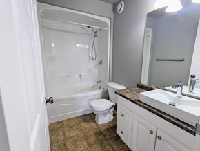 Brandon apartment for rent - a bathroom with a shower and a sink and a toilet