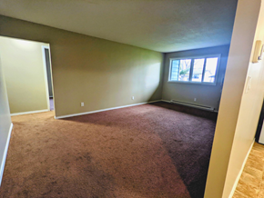 Brandon apartment for rent - an empty living room with a window and carpet