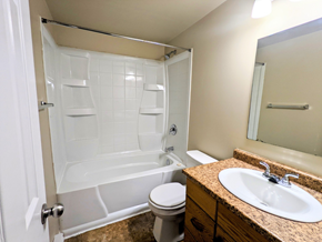 Brandon apartment for rent - a bathroom with a shower sink and toilet and a mirror