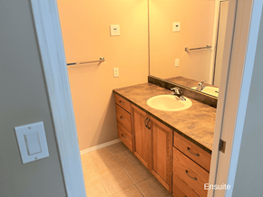 Brandon apartment for rent - a bathroom with a sink and a mirror