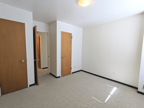 Brandon apartment for rent - a bedroom with three doors and a carpeted floor