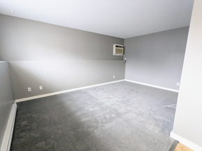 Brandon apartment for rent - an empty living room with gray walls and a gray carpet
