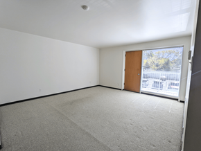 Brandon apartment for rent - an empty living room with a door to a balcony