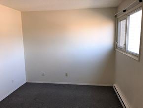 Brandon apartment for rent - an empty room with a window and a carpet